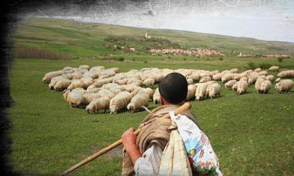 Ciobanul care şi-a pierdut oile, de Marin Sorescu