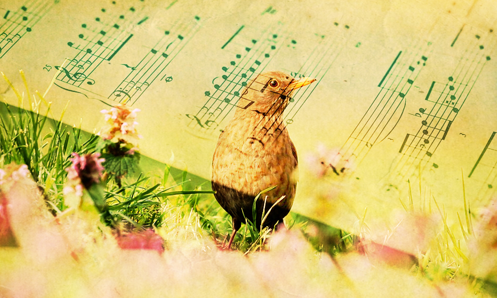 Concertul primăverii, de George Coșbuc